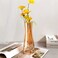 Aoderun Flower Vase for Decor 10 Clear Glass Vase for Centerpieces Large Vases for Flowers Dried Flower Home Decor Living Room Kitchen Office WeddingAmber