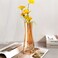 Aoderun Flower Vase for Decor 10 Clear Glass Vase for Centerpieces Large Vases for Flowers Dried Flower Home Decor Living Room Kitchen Office WeddingAmber