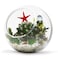 WGVI WGV 6 Clear Glass Vase Slant Cut Tilted Bubble Bowl Plant Terrarium Floral Arrangement Wedding Center Piece Home Dcor Flower Container