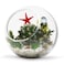 WGVI WGV 6 Clear Glass Vase Slant Cut Tilted Bubble Bowl Plant Terrarium Floral Arrangement Wedding Center Piece Home Dcor Flower Container