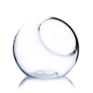 WGVI WGV 6 Clear Glass Vase Slant Cut Tilted Bubble Bowl Plant Terrarium Floral Arrangement Wedding Center Piece Home Dcor Flower Container