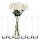 Craft And Craft and Party Cylinder Glass Vase 6 Pack 24 Clear Cylinder Vases Cylinder vase for Wedding Centerpiece 4 Diameter Opening