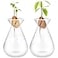 Emsiok 2 Pieces Avocado Seed Starter Vases Avocados Tree Growing Kit Acorn Bulb Vase Grow Glass Avocado Pit Planter Pot Clear Hydroponics Container for Gardening Lover