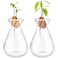 Emsiok 2 Pieces Avocado Seed Starter Vases Avocados Tree Growing Kit Acorn Bulb Vase Grow Glass Avocado Pit Planter Pot Clear Hydroponics Container for Gardening Lover