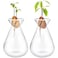 Emsiok 2 Pieces Avocado Seed Starter Vases Avocados Tree Growing Kit Acorn Bulb Vase Grow Glass Avocado Pit Planter Pot Clear Hydroponics Container for Gardening Lover