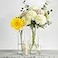 Sandraheer 4Pack Clear Glass Cylinder Vases 4 Sizes 46810 Inch Hurricane Floating Candle Holders Flower Vases for Wedding Table Centerpiece Home Dcor