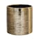 Royal Imports Flower Glass Ceramic Vase Decorative Centerpiece for Home or Wedding Etched Cylinder Shape 6x6 Gold