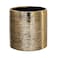 Royal Imports Flower Glass Ceramic Vase Decorative Centerpiece for Home or Wedding Etched Cylinder Shape 6x6 Gold
