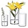 Amazing Abby Plastic Cylindrical Vases 3Piece Set 6 8 9 H