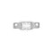 PLESIU SC06100 Pack Security Plates