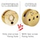 Funnytek Frameless Mirror Mounting Hardware Kit Zinc Alloy Mirror Holder Clips Round Shape DualScrew Fixing Mirror Glass Hanging Bracket with Screws and Anchors Fit for 35mm ThicknessGolden Set of 4