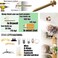 laffeya Picture Hanging Tool 40 Pack Bear Claw DoubleHeaded Screws Double Headed Hanging Screw Keyhole Hanger Screws Nails for Hanging Pictures Short 40