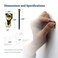 Picture Hang PHS 10 lb Brass Picture Hooks for Hanging with Nails 25 Pack Professional er Hooks Light Duty Hanging Hardware for Drywall Plaster Walls