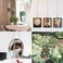 IZOKIN Picture Hanging kitMirror Hanging kit Adjustable Heavy Duty with Wire Hardware for Frame Mirror 78 inch 116 50LB 3pack