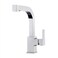 Pfister Arkitek Single Handle Kitchen Sink Faucet with Pull Out Sprayer High Arc Design Polished Chrome Finish 18 GPM Flow Rate 1 or 3 Hole Installation LG534LPMC