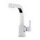 Pfister Arkitek Single Handle Kitchen Sink Faucet with Pull Out Sprayer High Arc Design Polished Chrome Finish 18 GPM Flow Rate 1 or 3 Hole Installation LG534LPMC