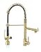 Fapully Single Handle High Arc Brushed Gold Pull Down Kitchen Faucet LEDSingle Level Kitchen Sink Faucets with Pull Down Sprayer