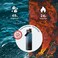 BUZIO Insulated Water Bottle with Straw Lid and Flex Cap 24 oz Modern Double Vacuum Stainless Steel Water Flask Cold for 48 Hrs Hot for 24 Hrs Simple Thermo Canteen Mug Indigo Black