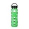 Lifefactory 22Ounce BPAFree Glass Water Bottle with Classic Cap and Protective Silicone Sleeve Moss