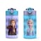 Zak Designs Disney Frozen 2 Kids Water Bottle with Spout Cover and Carrying Loop Durable Plastic LeakProof Water Bottle Design for Travel 16 oz 2Pack NonBPA Elsa Anna