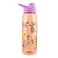 Silver Buffalo Disney Princess Icons Water Bottle With ScrewOn Lid 28 Ounces