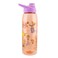Silver Buffalo Disney Princess Icons Water Bottle With ScrewOn Lid 28 Ounces