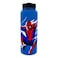 Silver Buffalo SpiderMan Beyond Amazing Stainless Steel Water Bottle With Twist Lid 42 Ounces