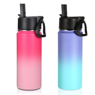 Volhoply 16 OZ Kids Water Bottle Bulk 2 PackInsulated Sports Bottles with Straw LidStainless Steel Bottle with Handle Keep ColdHotDouble Wall Vacuum Tumbler Cups for SchoolAssorted 2