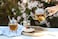 Teabloom Le Bouquet Glass Teapot with Two Gourmet Blooming Tea Flowers 34 Oz 1 L Capacity Up to 4 Cups of Tea