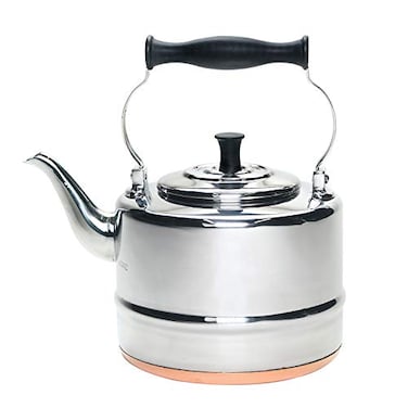 BonJour Tea Stainless Steel and CopperBase Gooseneck Teapot Teakettle 2Quart