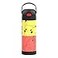 THERMOS FUNTAINER 16 Ounce Stainless Steel Vacuum Insulated Bottle with Wide Spout Lid Pokemon