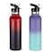 Neihepal 24oz Insulated Water Bottles Bulk 2 PackStainless Steel Double Wall Sport Bottle with Straw LidMetal Reusable Thermoses Cup with Hand Cap for SchoolCyclistsHikersGift AssortedSet of 2