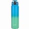 OLDLEY Insulated Water Bottle 32oz Water Bottles with Straw Stainless Steel Water Bottle with 3 Lids Double Wall Vacuum Bottles for AdultSports Bottles for School TravelTropical Rainforest
