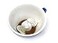 Creature Cups Elephant Ceramic Mug Cup Hidden 3D Animal Inside Unique Gift for Coffee Lovers