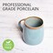 Bosmarlin Matte Ceramic Coffee Mug Tea Cup for Office and Home 13 oz Dishwasher and Microwave Safe 1 Pack Lake BlueGlossy