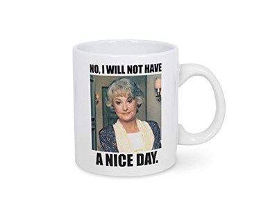 Silver Buffalo Official The Golden Girls I Will Not Have A Nice Day Mug 20Ounce White Ceramic Cup for Hot Coffee Tea Water Best Novelty Drinkware wShow Logo Features Dorothy Zbornak Licensed Merchandi