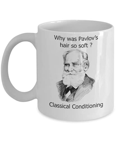 InkCallies Funny Psychology Mugs Why Was Pavlovs Hair So Soft Ideal Psychologist Gifts 11oz MUGR8OFN8MBLZ11oz White