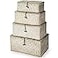 Woanger Set of 4 Wicker Baskets with Lids Nautral Seagrass Storage Baskets Woven Rectangular Basket Bins Rattan Storage Organizer for Shelf Closet BedroomWhite
