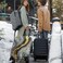 ANNA QUEEN Luxury Marble Gold Luggage Cover Elegant Black Grey Suitcase Protector with Faux Gold Vein Design Stretchable Washable Spandex Cover for 2022 Inch Luggage