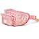 Igloo Fanny Pack Carebears