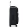 DELSEY PARIS Sky Max 20 Softside Expandable Luggage with Spinner Wheels Black 2Piece Set 2124