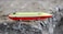 Heddon Super Spook Topwater Fishing Lure for Saltwater and Freshwater Lake Fork Shad Super Spook 78 oz