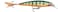 Rapala XRap Jerkbait Suspending Hard Bait Bass Walleye Pike Fishing Lure Slashbait Action 4 Perch