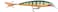 Rapala XRap Jerkbait Suspending Hard Bait Bass Walleye Pike Fishing Lure Slashbait Action 4 Perch