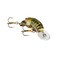 Rebel CrawfishStream Craw One Size
