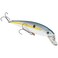 Strike King KVD Jerkbait 2 Hook Shad 4 12inch HCKVDJ200590