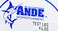 ANDE Ande Premium Monofilament Line with 300Pound Test Clear 025Pound Spool 33Yard