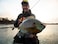 Northland Tackle Rigged Tungsten Broom Bug Ice Fishing Jigs with Sharp Hooks 2 PreRigged Jig Heads 3 Extra Ice Fishing Plastics Tungsten Jig Heads for Panfish 128 Oz Fruit Fly