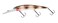 Bandit Lures BANDIT LURES BDTWBD2B80 Walleye Deep Crankbait Catacomb 434 inch 58oz