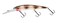 Bandit Lures BANDIT LURES BDTWBD2B80 Walleye Deep Crankbait Catacomb 434 inch 58oz